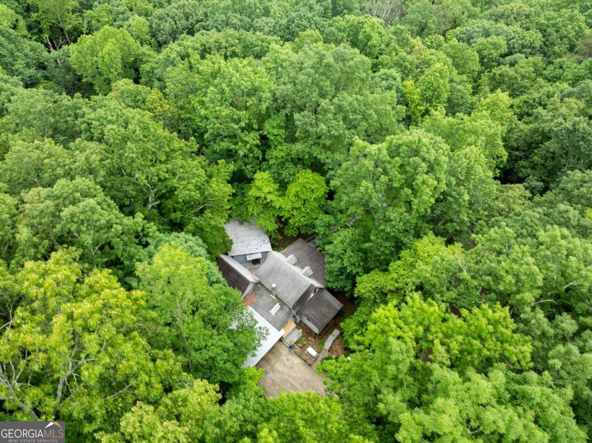 705 Long Mountain Road Cleveland, GA 30528 - Photo 36 of 39