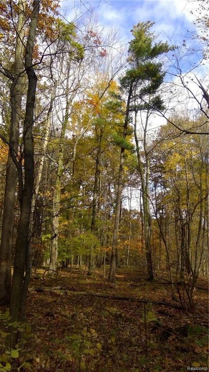 0 Hosner Road Oxford, MI 48370 - Photo 26 of 27
