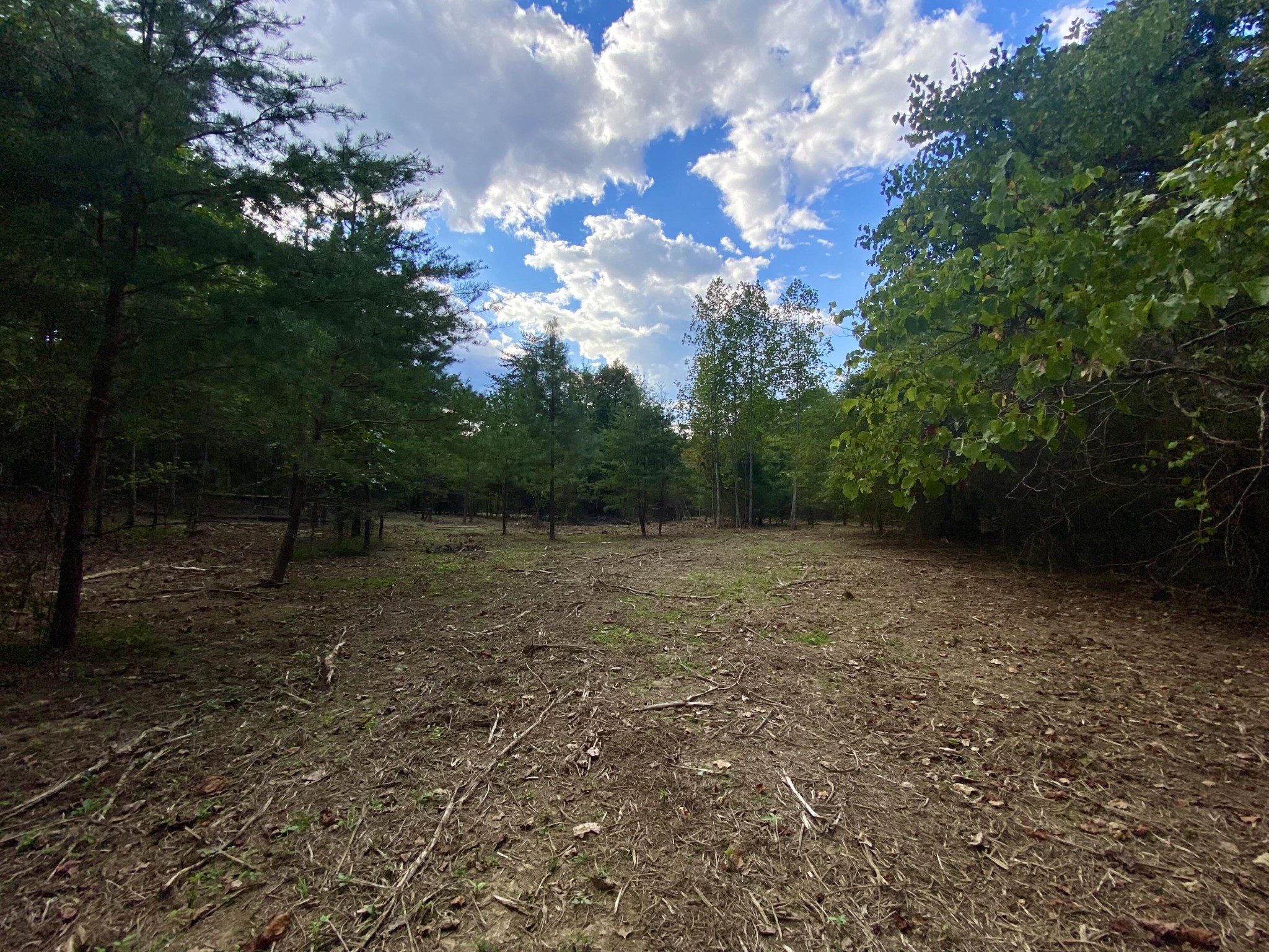0 Graham Road Dunlap, TN 37327 - Photo 8 of 8 Gallery Image 8