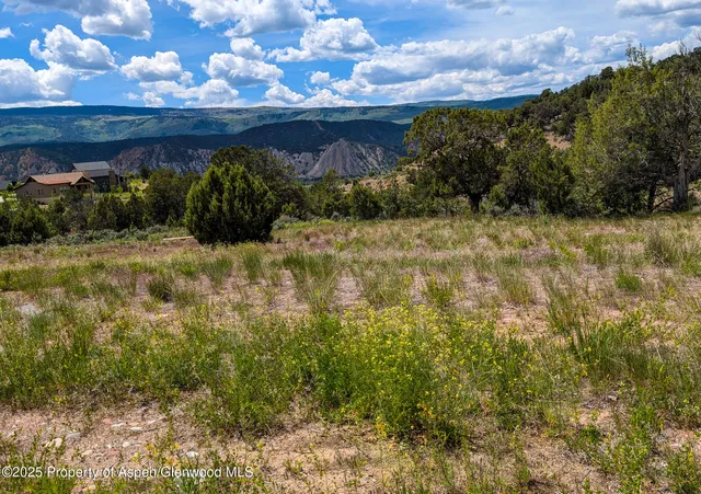 a view of a yard with an outdoor space