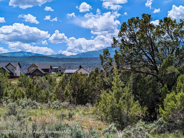 a view of a bunch of trees and bushes