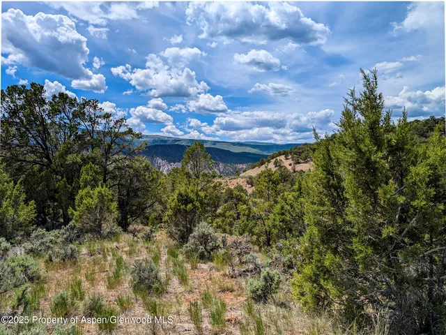 a view of a bunch of trees