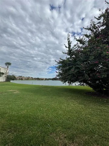 a view of a trees in a yard