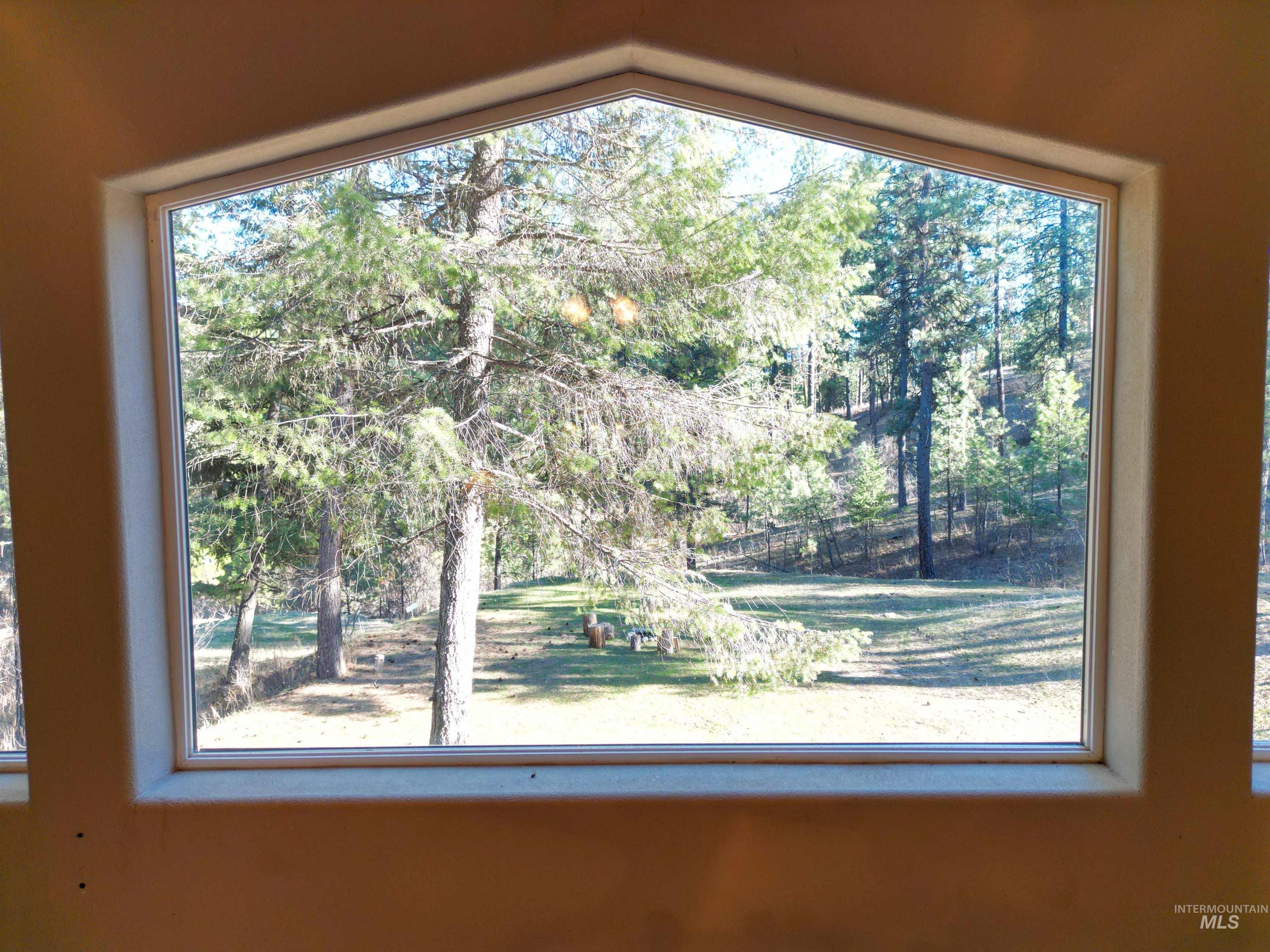 14 Forest Trail Road Garden Valley, ID 83622 - Photo 42 of 45 Detailed view of a tree filled landscape