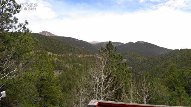 318 Valley Road Divide, CO 80814 - Photo 10 of 22 Gallery Image 10