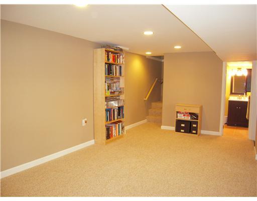 Den/Family/Great Room. 2nd view of large finished lower level.