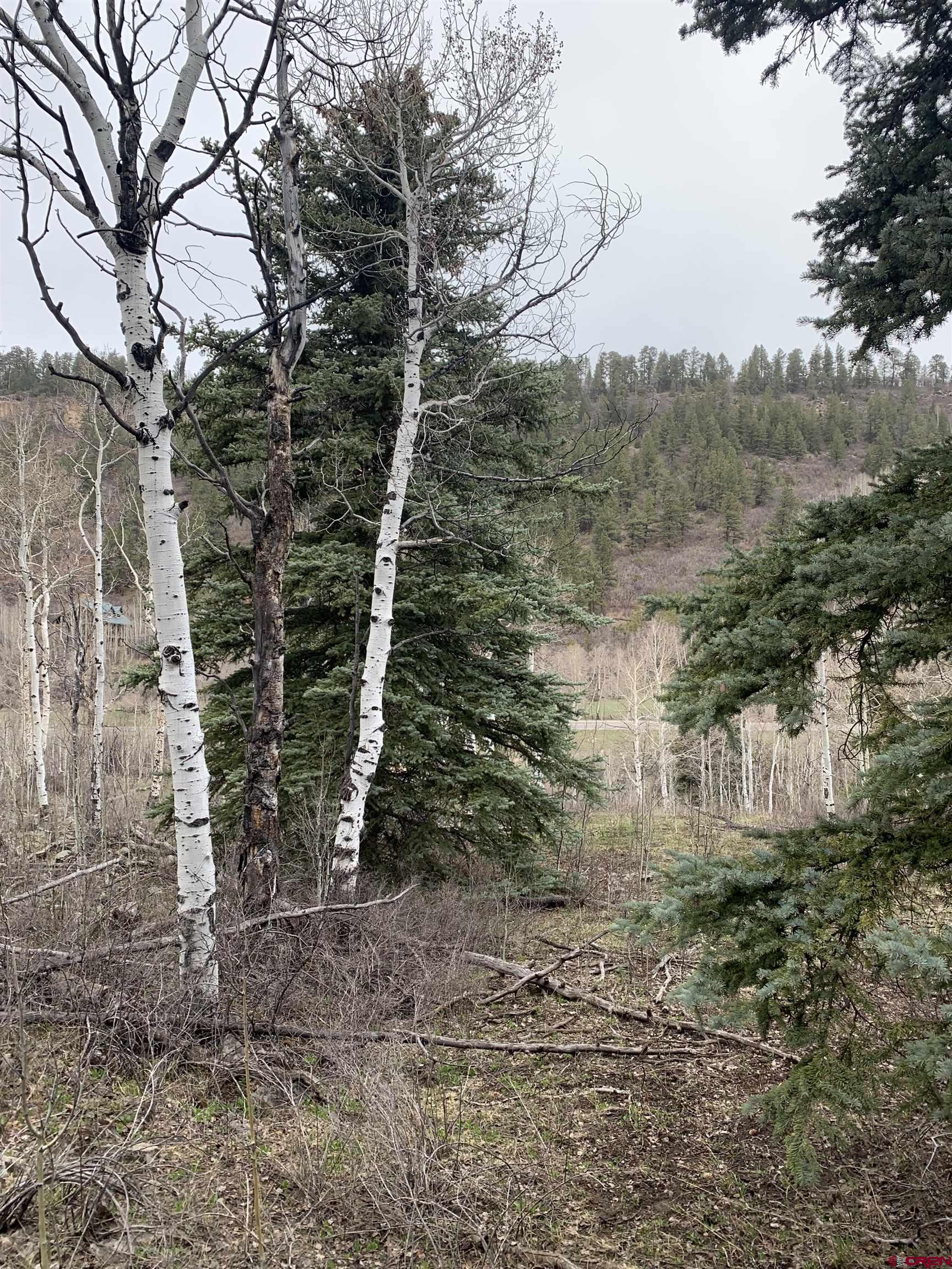 Tbd Highway 62 Placerville, CO 81430 - Photo 2 of 7 a view of outdoor space and a yard