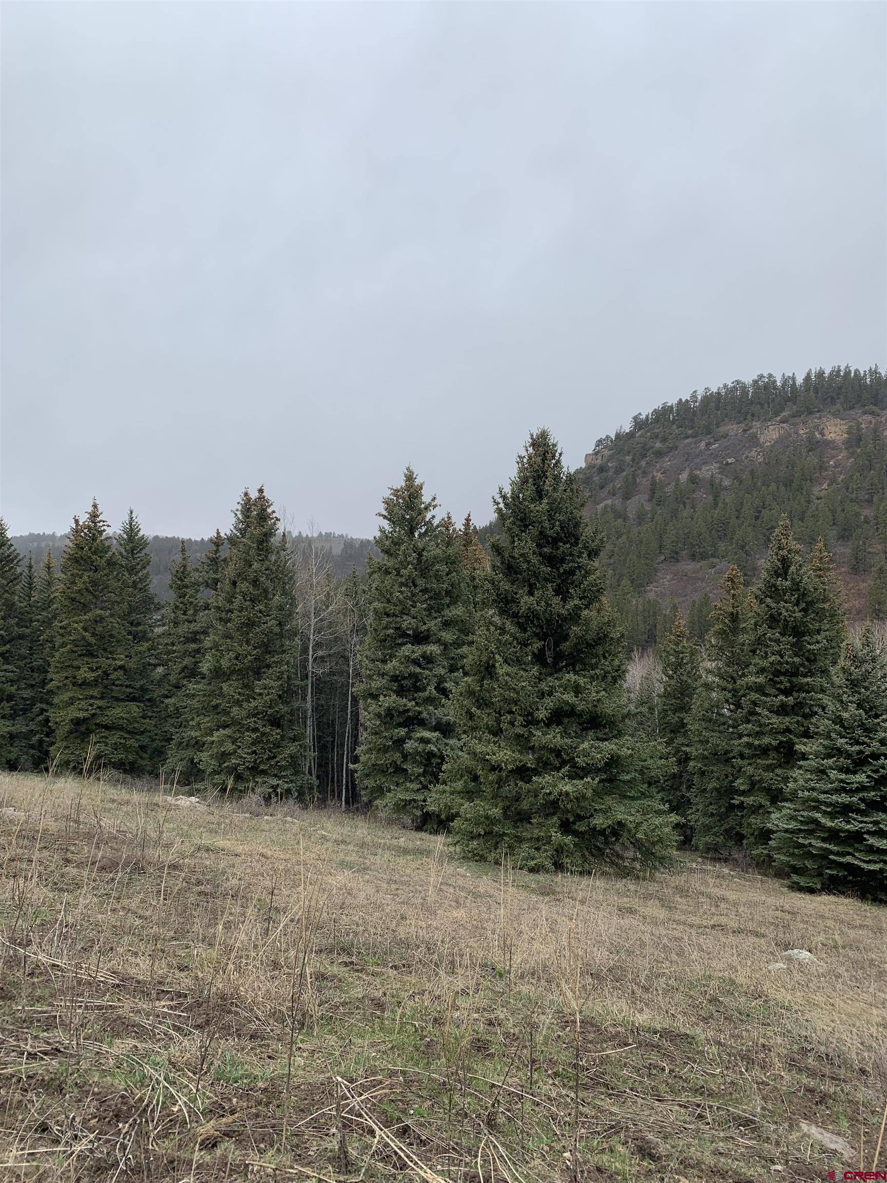 Tbd Highway 62 Placerville, CO 81430 - Photo 3 of 7 a view of a field