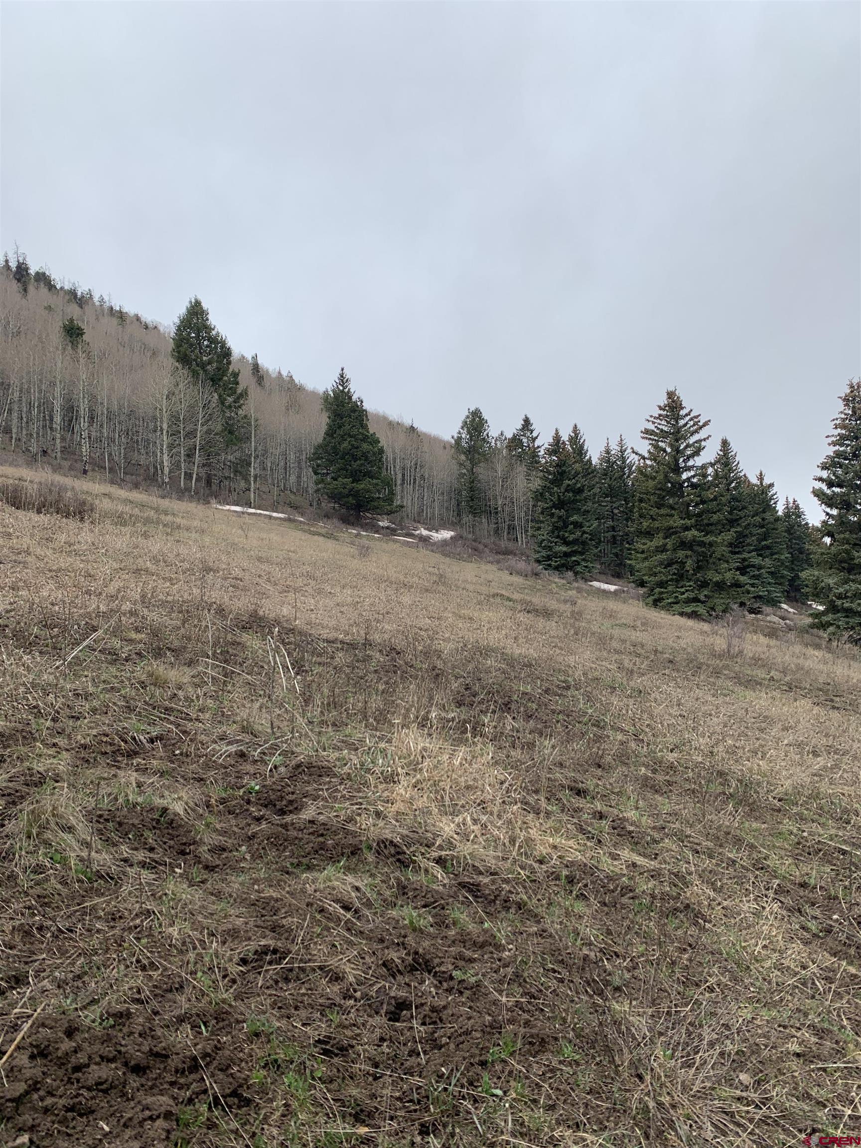 Tbd Highway 62 Placerville, CO 81430 - Photo 4 of 7 a view of an outdoor space with trees all around
