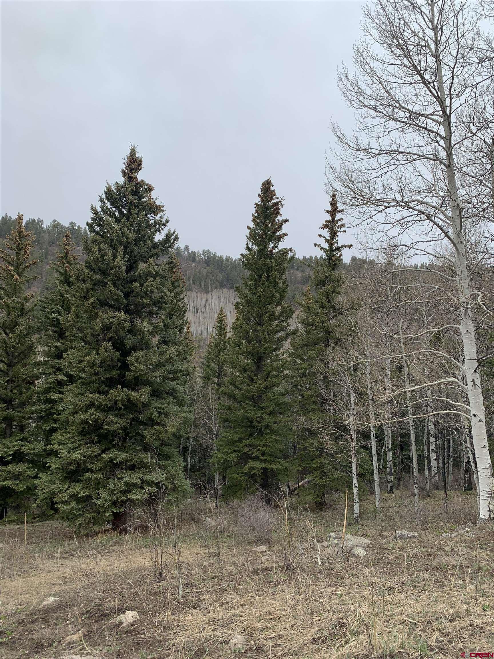 Tbd Highway 62 Placerville, CO 81430 - Photo 5 of 7 a backyard of a house with lots of green space