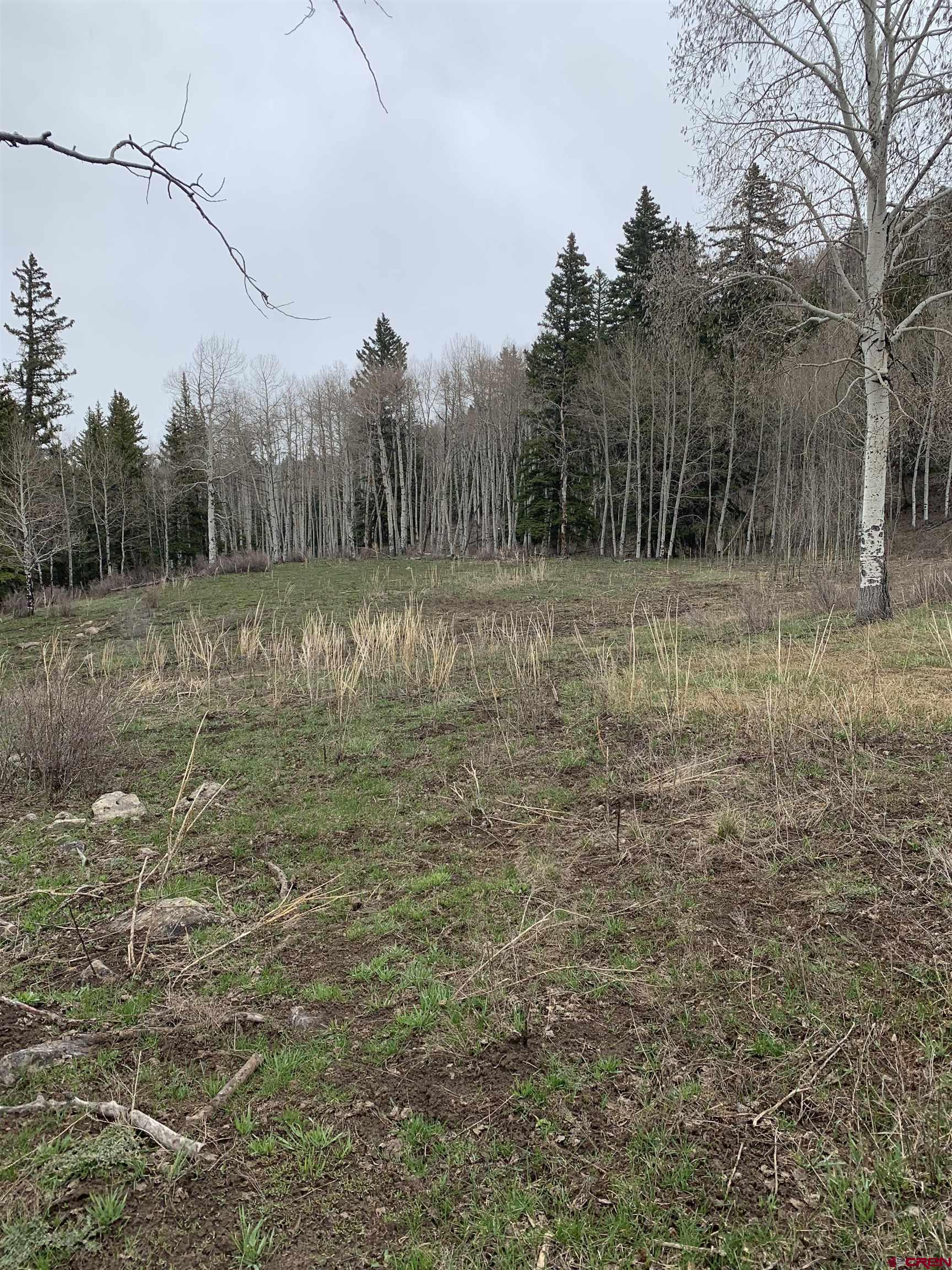Tbd Highway 62 Placerville, CO 81430 - Photo 6 of 7 a view of a yard with a tree