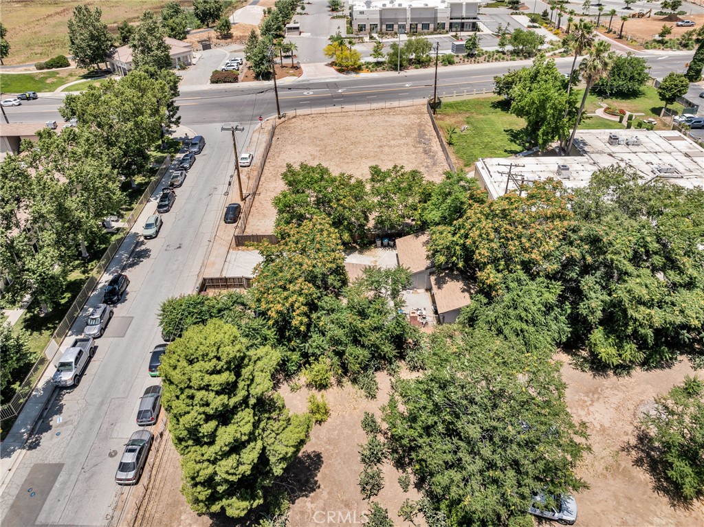 770 Allegheny Street Beaumont, CA 92223 - Photo 12 of 16 a view of a yard and plants