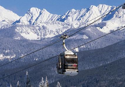 825 West Forest Road, Unit 13 Vail, CO 81657 - Photo 11 of 16 Additional Photo