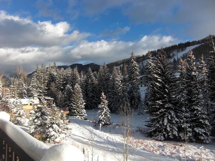 825 West Forest Road, Unit 13 Vail, CO 81657 - Photo 3 of 16 Additional Photo