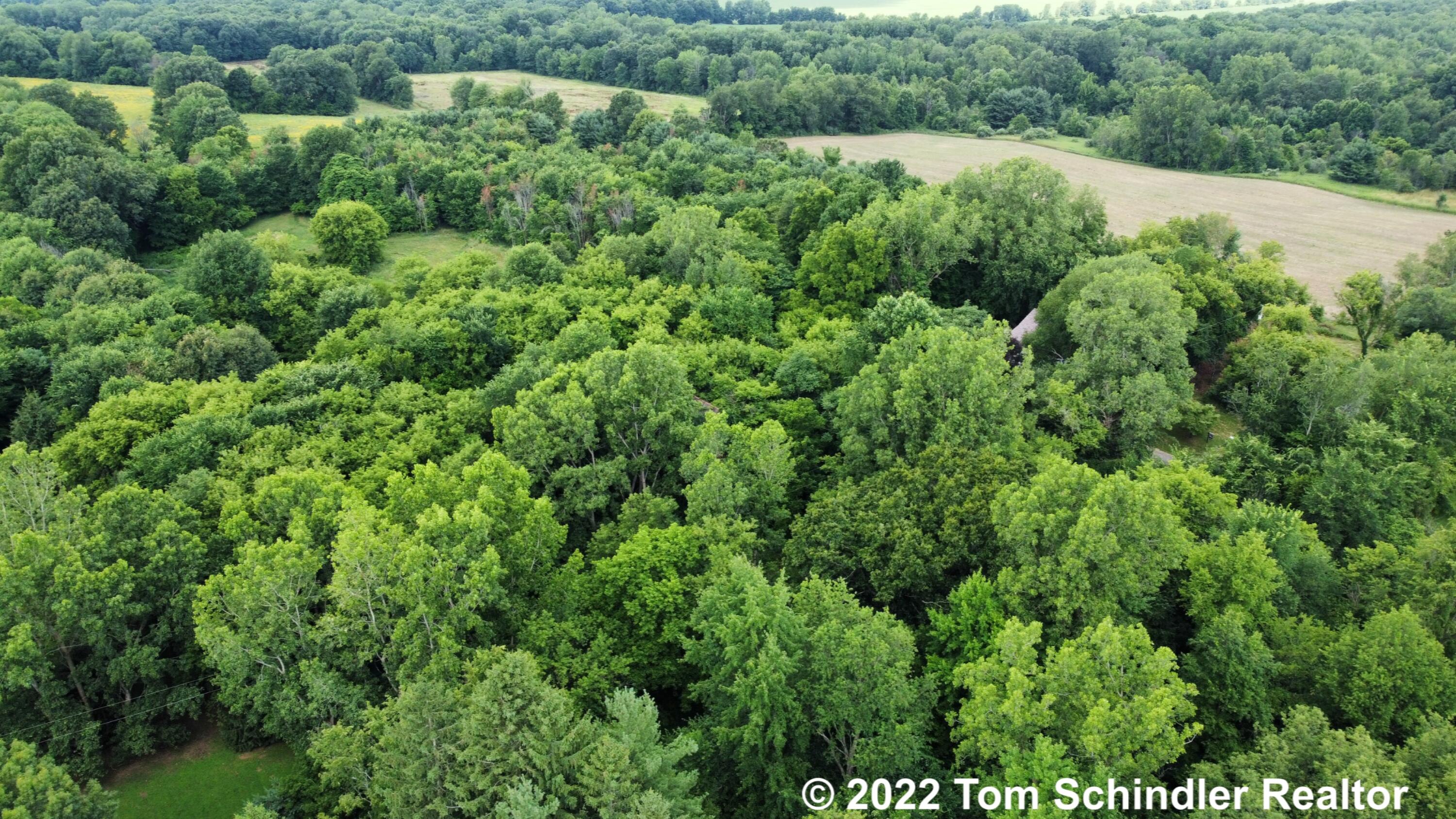 5314 North Dearing Road Parma, MI 49269 - Photo 64 of 70 2022-07-08 12.06.44