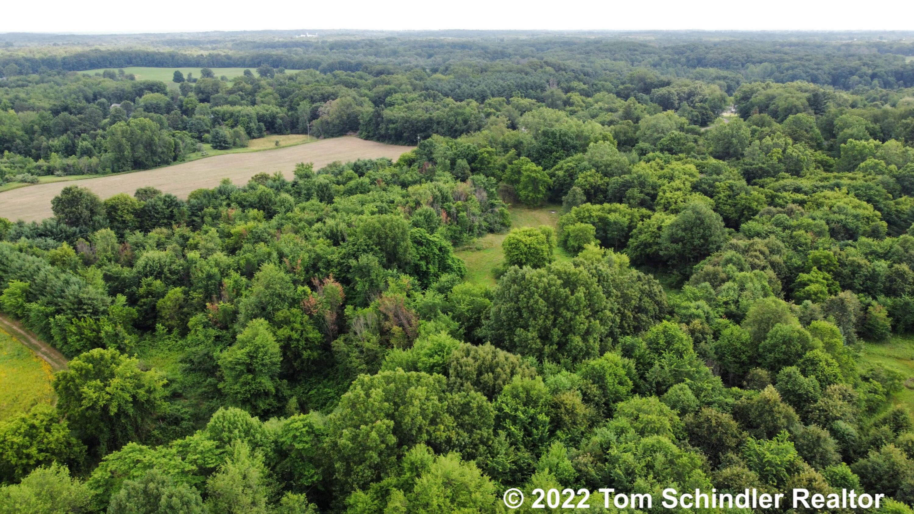 5314 North Dearing Road Parma, MI 49269 - Photo 65 of 70 2022-07-08 12.06.46
