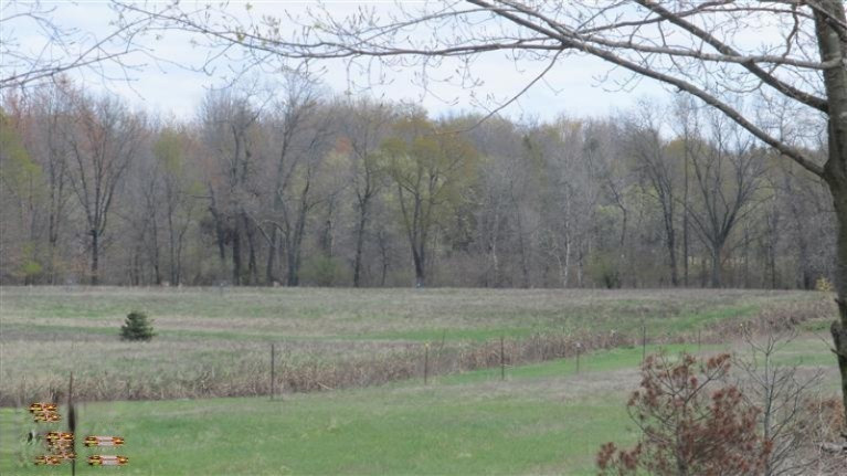 5683 Westbrook Road Ionia, MI 48846 - Photo 17 of 20 Additional Photo