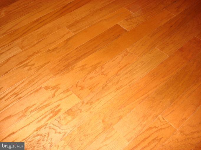 11800 Sunset Hills Road, Unit 410 Reston, VA 20190 - Photo 4 of 14 Interior (General)