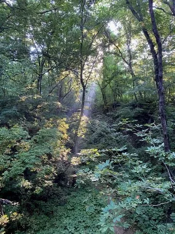 $233,000 | 19115 Highway 45, Weston, MO 64098