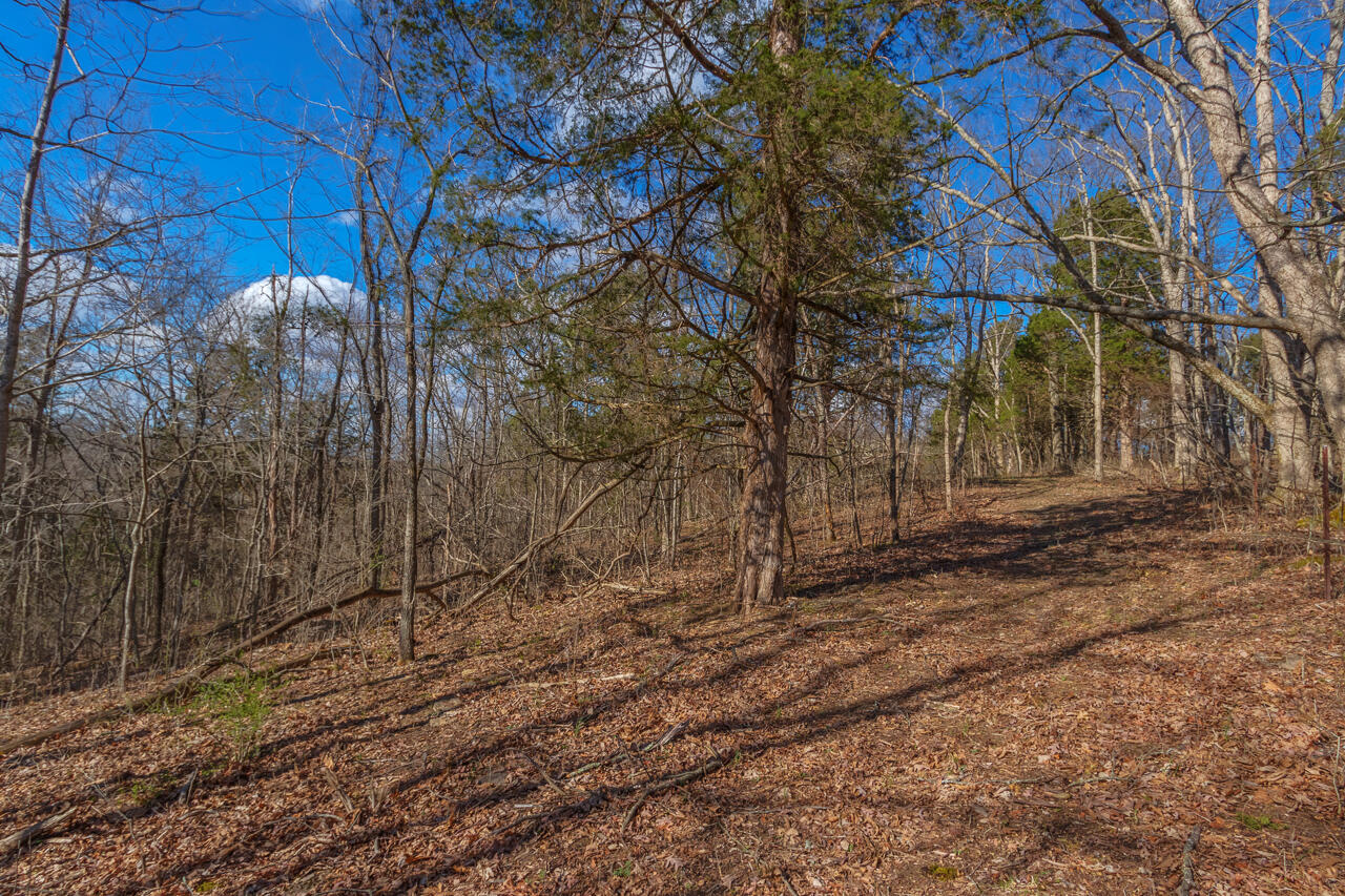 1 Camp Pleasant Road Frankfort, KY 40601 - Photo 27 of 67 057-2918-Cedar-Rd-Stamping-Ground-KY-403