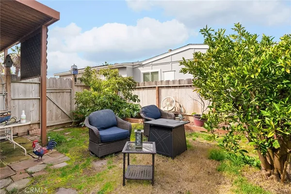 a view of a yard with plants