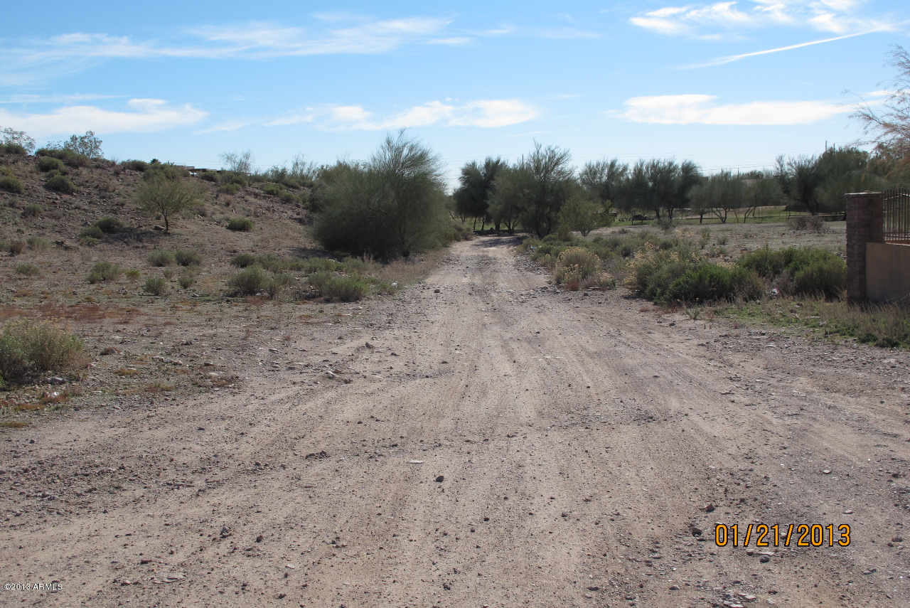 525 South Boyd Road Apache Junction, AZ 85119 - Photo 3 of 39 a view of a dry yard with trees in the background