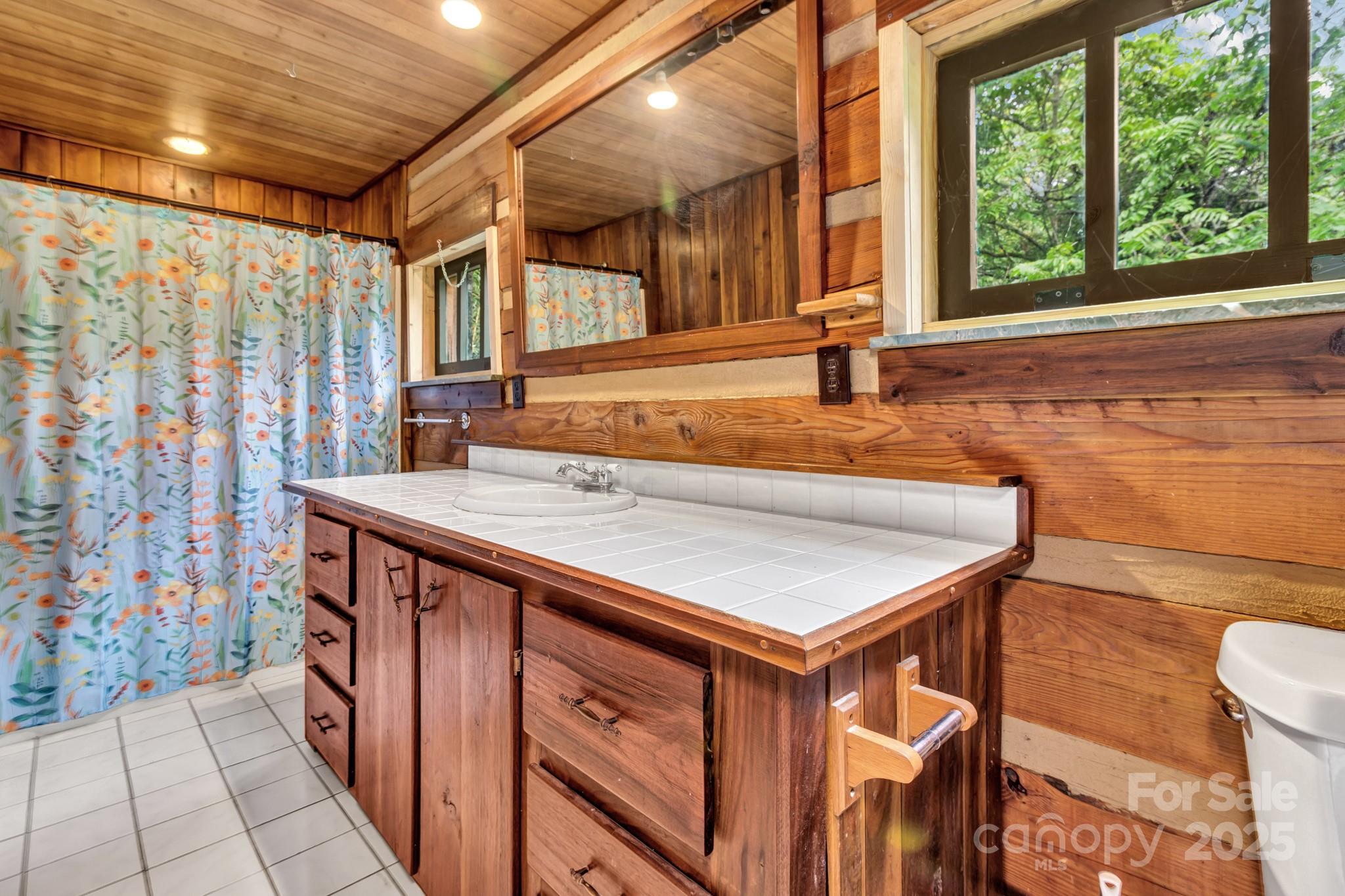 200 Dry Branch Road Marshall, NC 28753 - Photo 28 of 38 a bathroom with a sink and a mirror