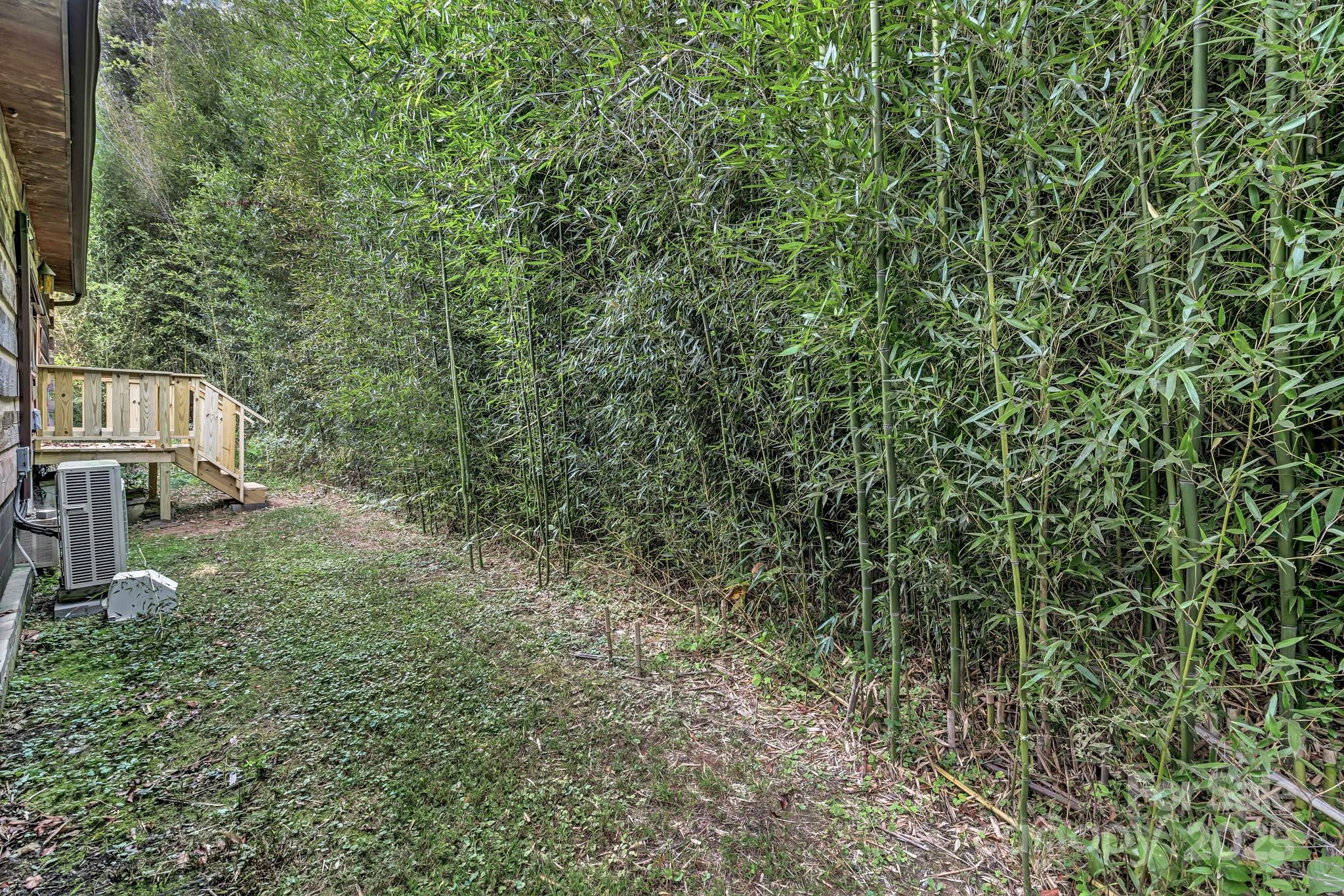 200 Dry Branch Road Marshall, NC 28753 - Photo 34 of 38 a view of a yard with plants
