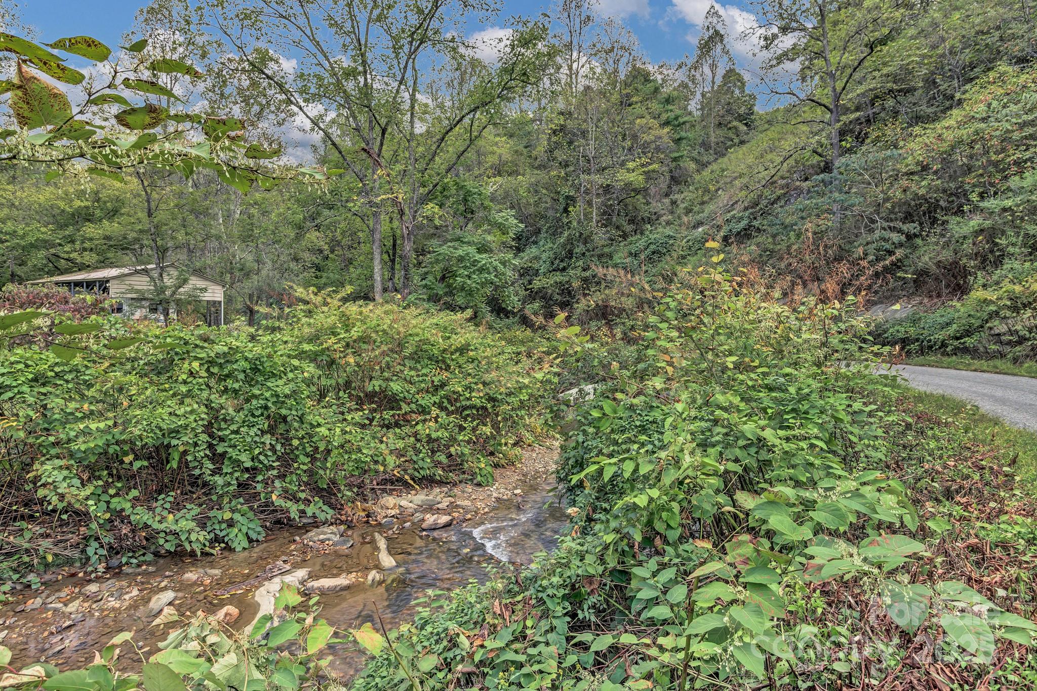 200 Dry Branch Road Marshall, NC 28753 - Photo 38 of 38 a view of a forest with a tree