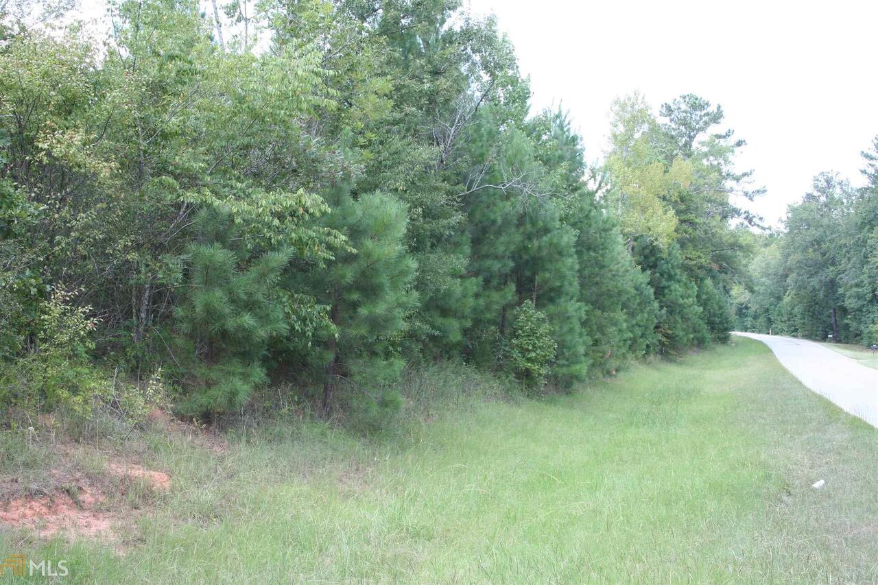 2095 Hollonville Road Brooks, GA 30205 - Photo 1 of 1 Gallery Image 1
