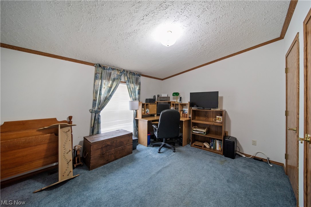 4951 Lane Road Perry, OH 44081 - Photo 17 of 31 Home office with ornamental molding, dark carpet, and a textured ceiling
