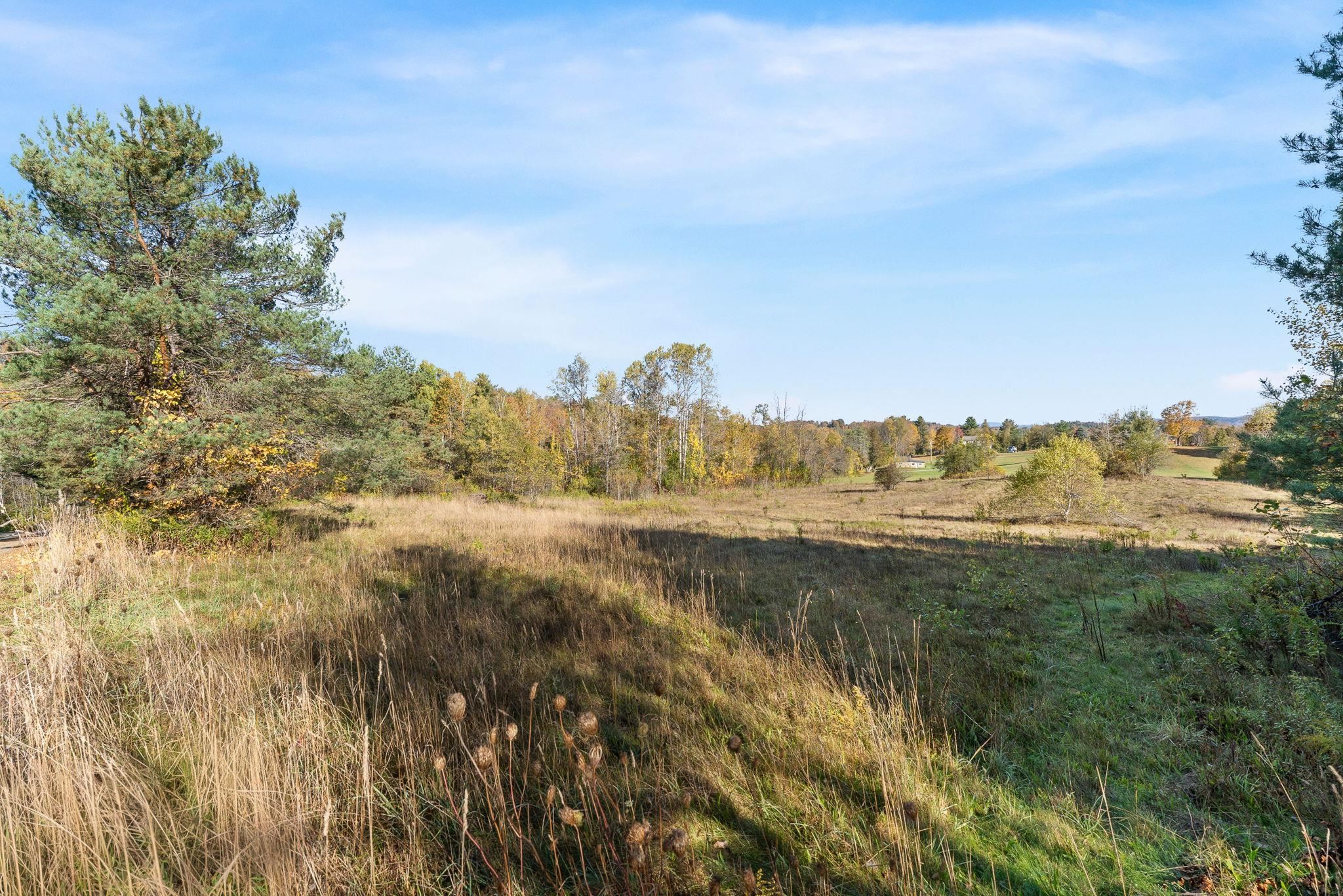 Lot 2 Blue Bird Road Williamstown, VT 05679 - Photo 17 of 25