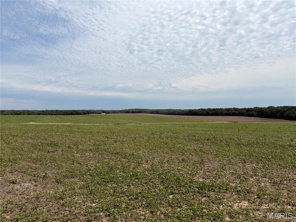 96.59 Acres Rock Road Bellflower, MO 63333 - Photo 12 of 21