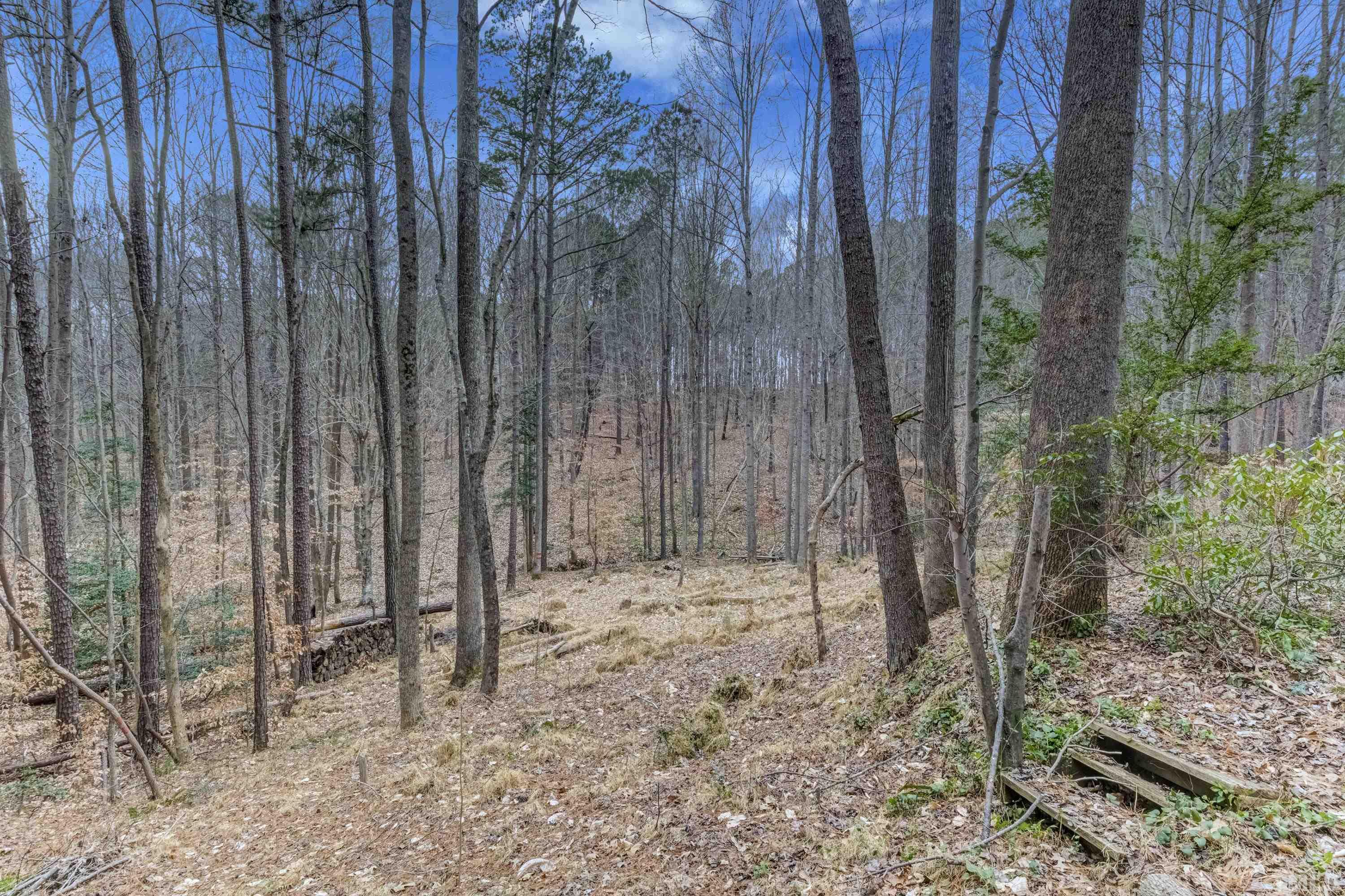 6905 Choplin Road Wake Forest, NC 27587 - Photo 36 of 38 Gallery Image 36