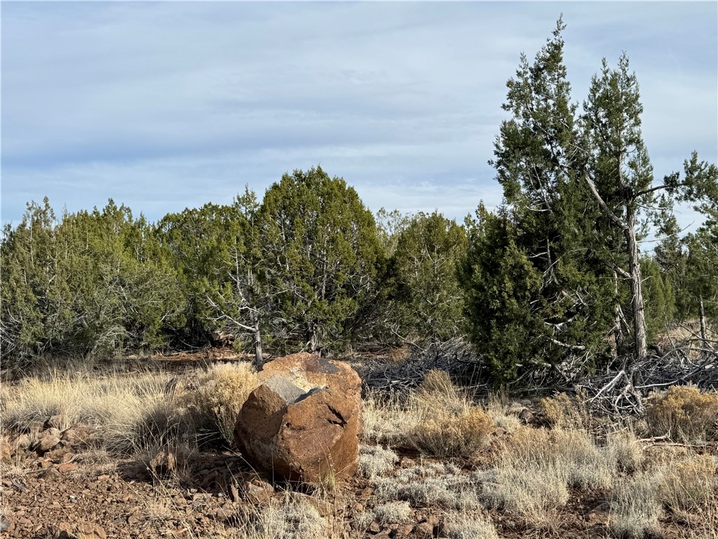 34745 West Running Shadow Road Seligman, AZ 86337 - Photo 28 of 52