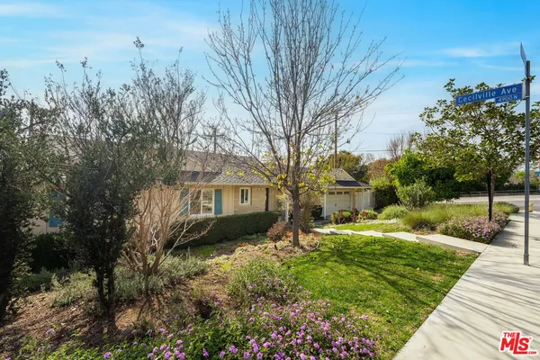 a view of a yard with plants and large trees