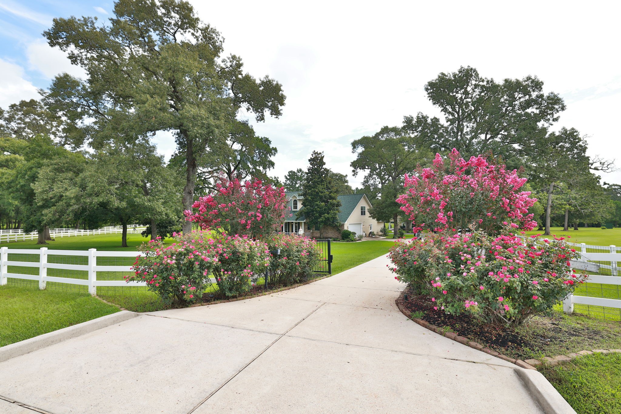 34310 High Point Drive Magnolia, TX 77355 - Photo 2 of 48 Charming country home set on a spacious property with a lush green lawn. A welcoming driveway lined with vibrant pink flowering bushes leads to the house. Surrounded by mature trees and a white fence, offering privacy and a picturesque setting.