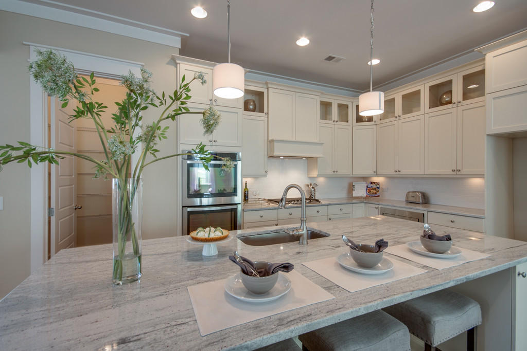 1560 Cranes Nest Road Mount Pleasant, SC 29466 - Photo 4 of 22 Gourmet Kitchen Option