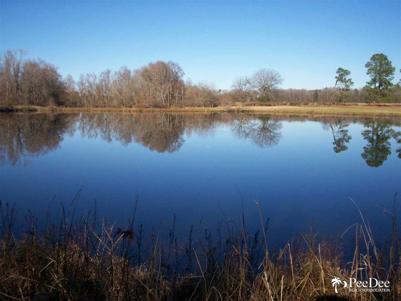 2155 Country Club Road Clio, SC 29525 - Photo 1 of 1 Gallery Image 1