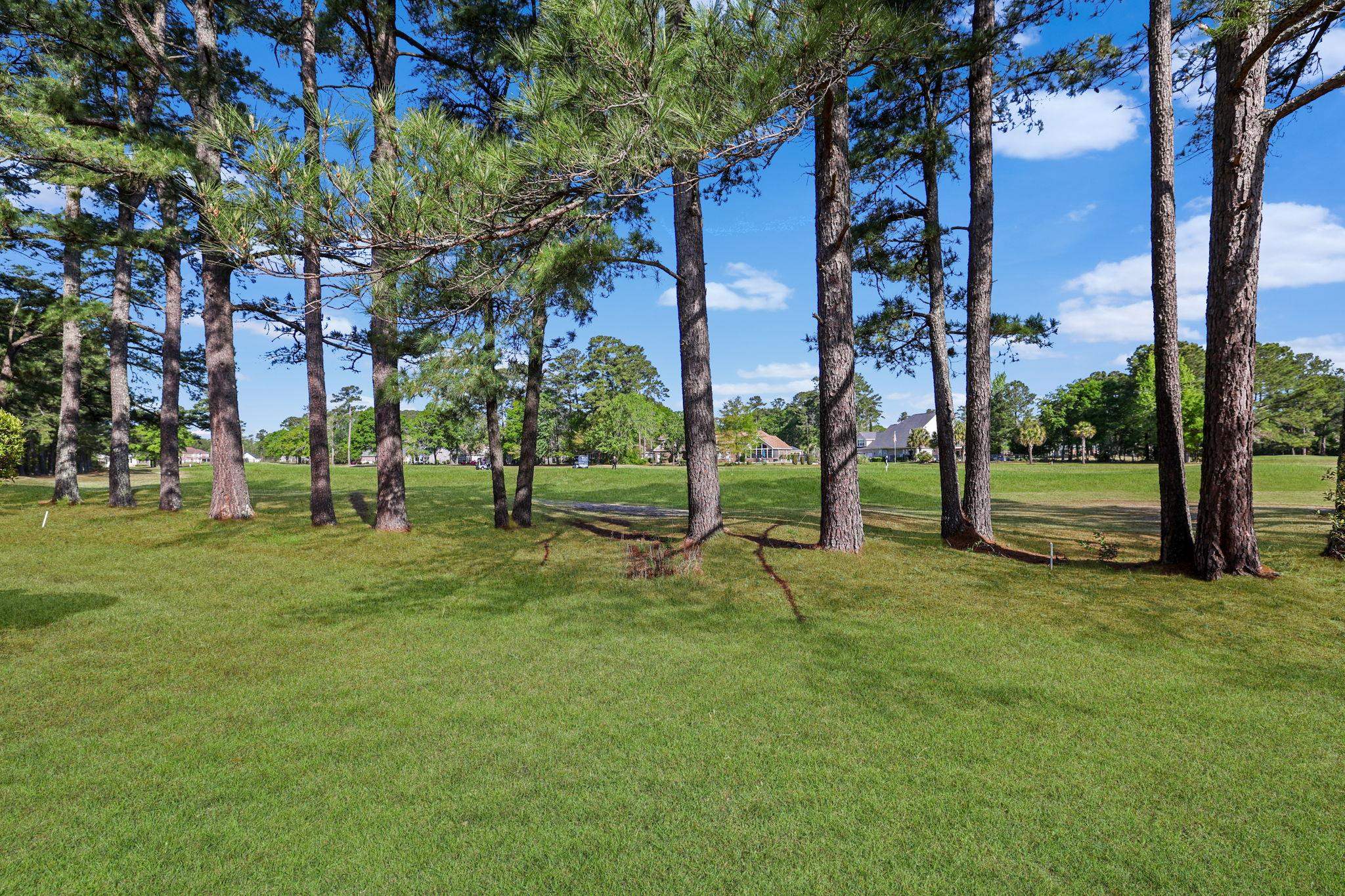 754 Foxtail Drive, Unit 10 Longs, SC 29568 - Photo 36 of 44