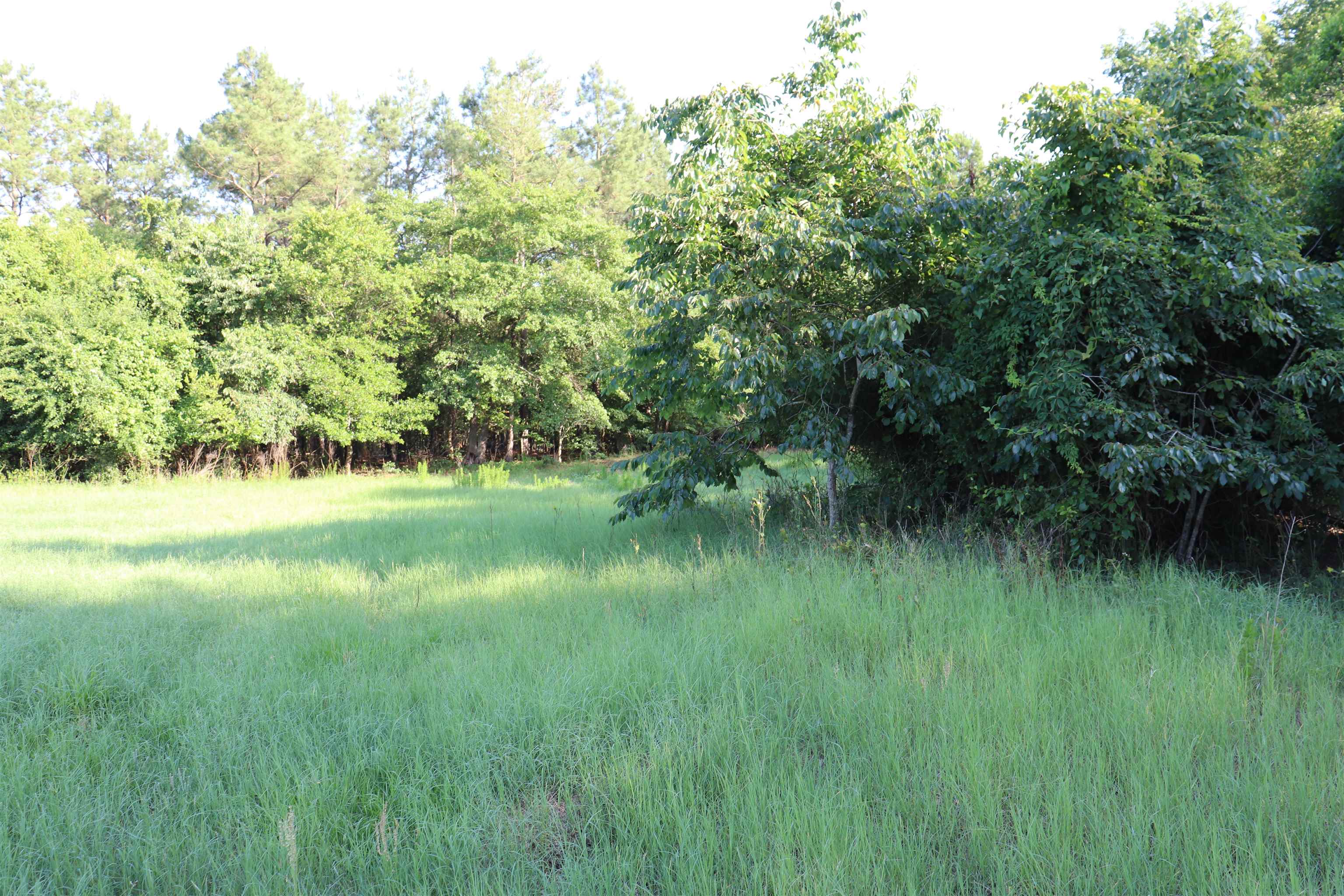 2631 Charlie Johnson Road Bethune, SC 29009 - Photo 14 of 29