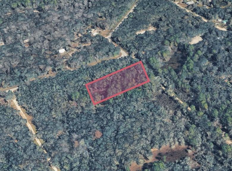 9211 Rousseau Street Webster, FL 33597 - Photo 1 of 1 a view of a yard