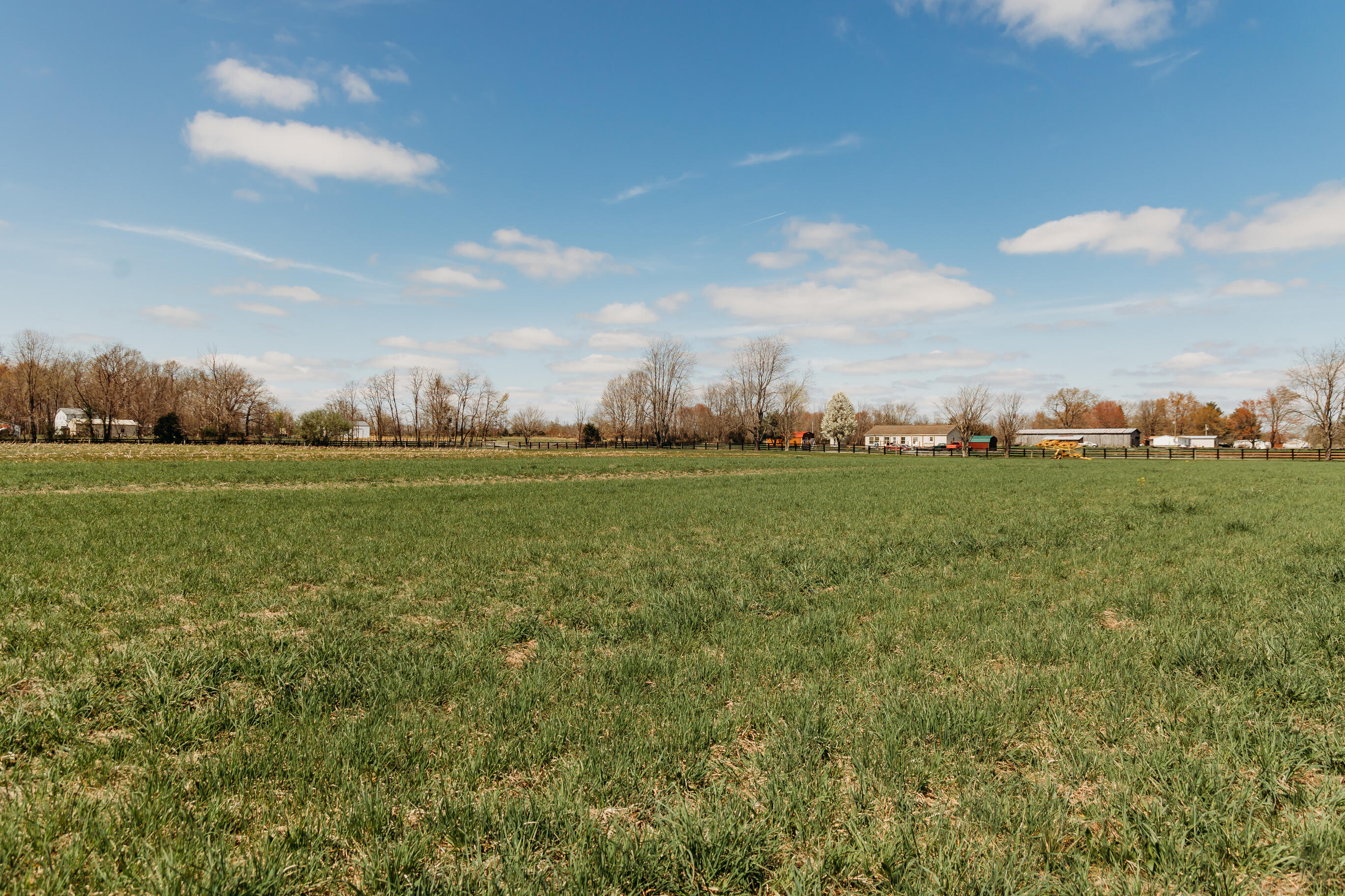 4241 Kendall Springs Road Owingsville, KY 40360 - Photo 65 of 66 Field