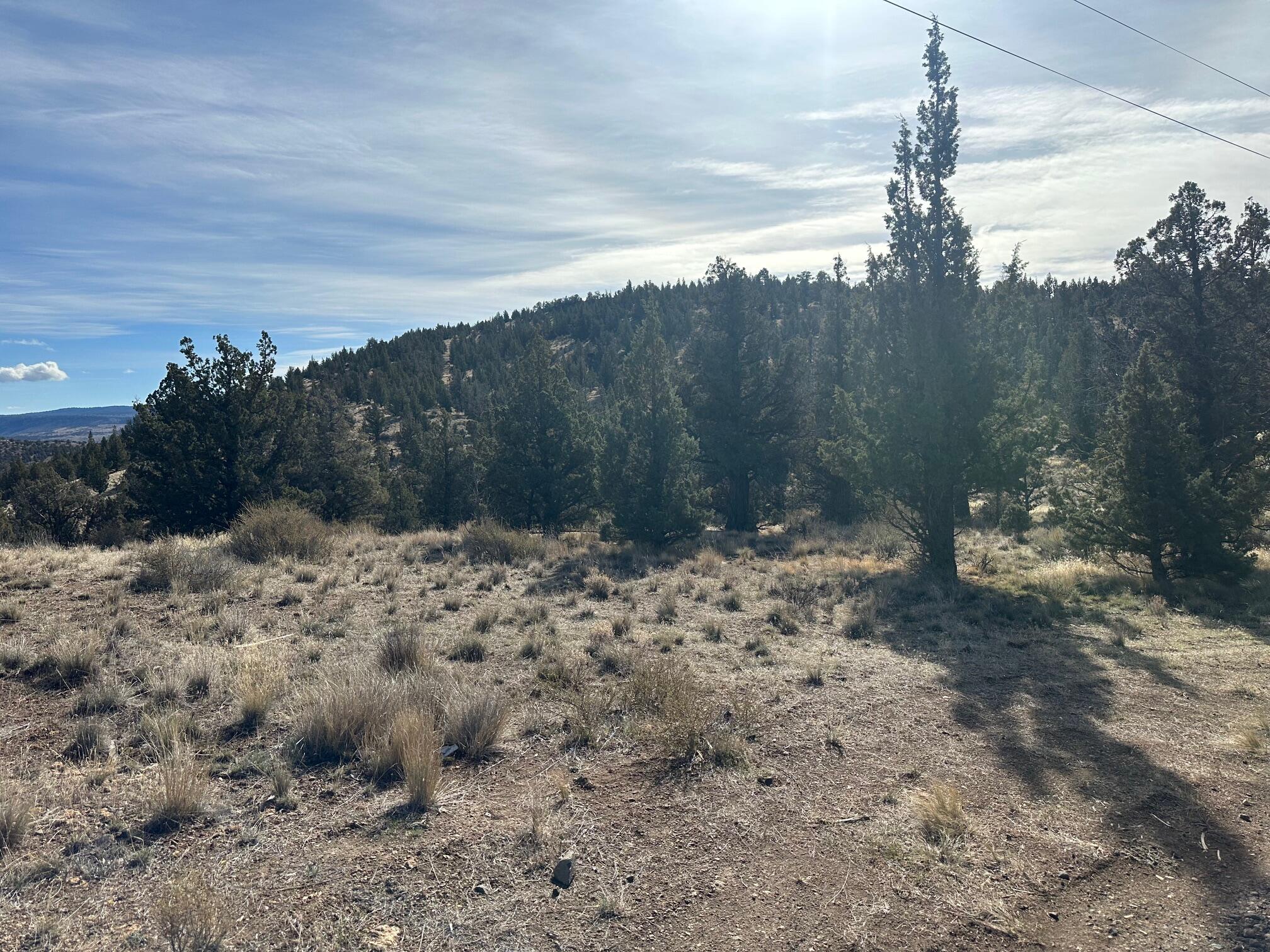 Southeast Renegade Loop Prineville, OR 97754 - Photo 3 of 8