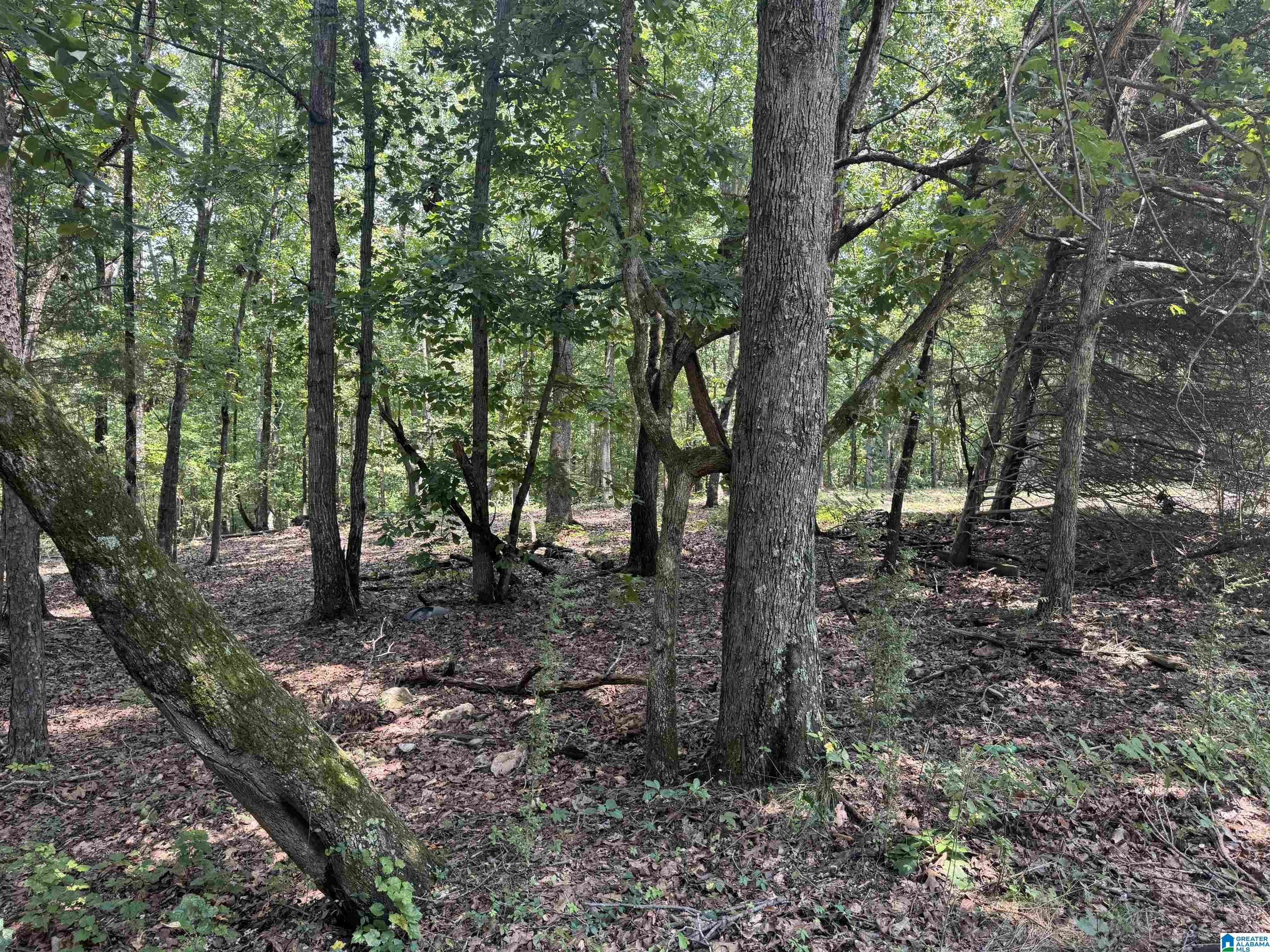 305 Stone Ridge Trail North Anniston, AL 36207 - Photo 53 of 72