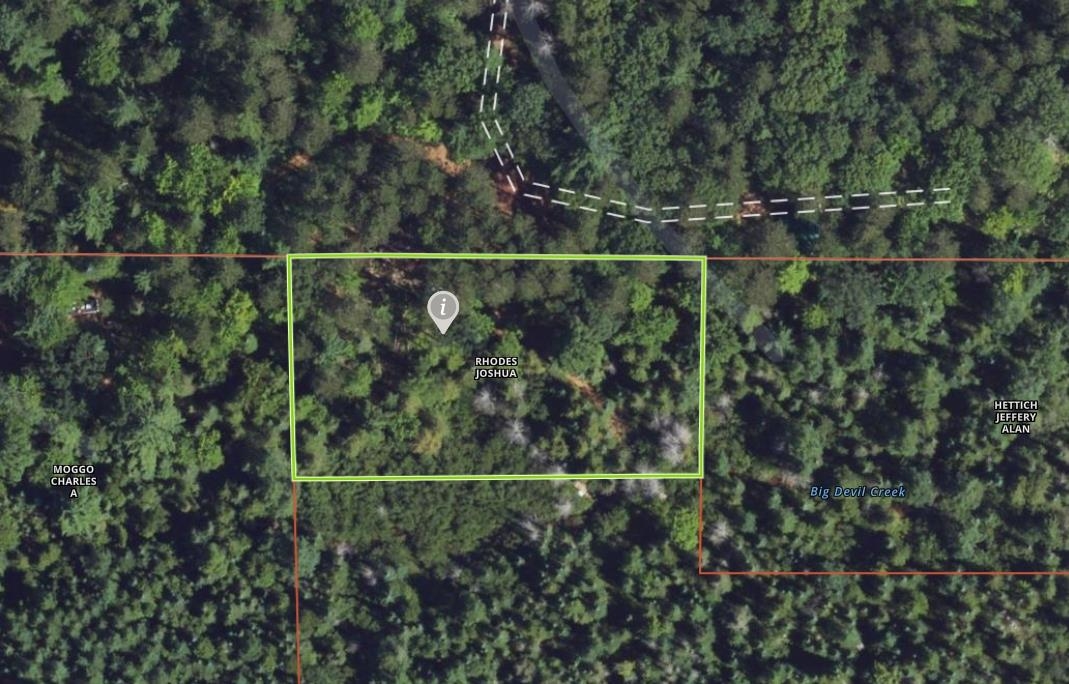 V/l South Military Road Fife Lake, MI 49633 - Photo 32 of 43
