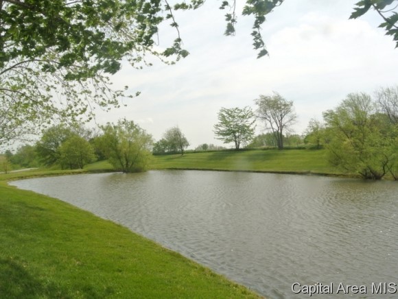 1 Rr Murrayville, IL 62668 - Photo 2 of 24 Gallery Image 2