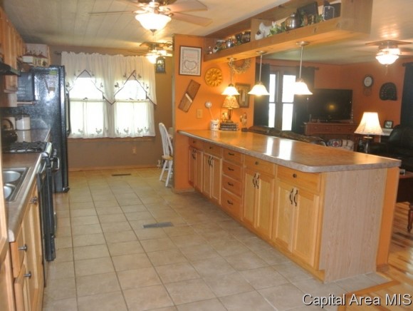 1 Rr Murrayville, IL 62668 - Photo 4 of 24 Gallery Image 4