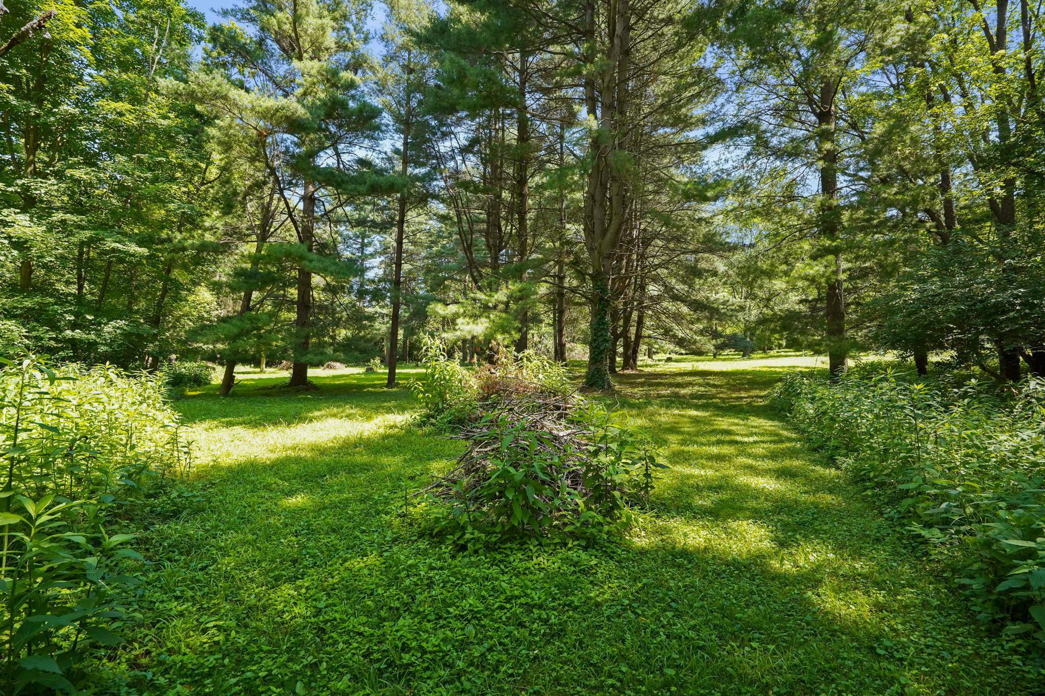 4595 St James Road Waldo, OH 43356 - Photo 29 of 83 53-web-or-mls-DSC08113