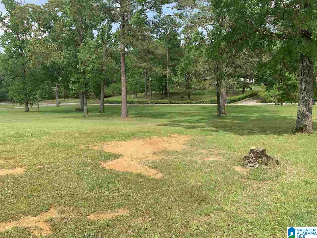 125 Vly Cv Road Jacksonville, AL 36265 - Photo 39 of 39